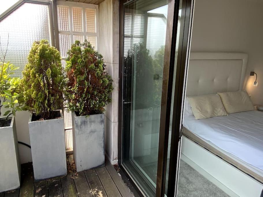 Apartamento Avenida Vt - Vivienda Turistica San Sebastián Exterior foto